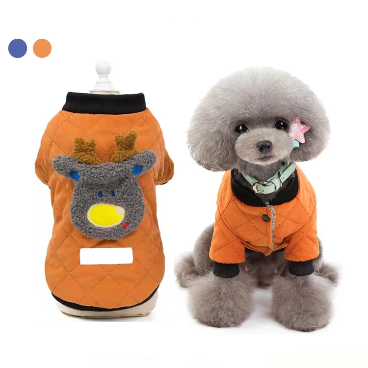 teddy dog apparel