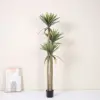 Agave de tres tallos con cola de fénix, 1,8 metros