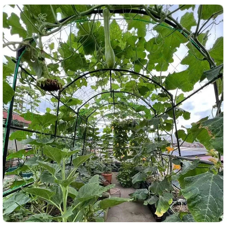 UNHO Traliccio Arco Per Piante Rampicanti Alto 222cm Da Giardino
