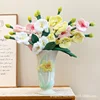 White phalaenopsis orchid