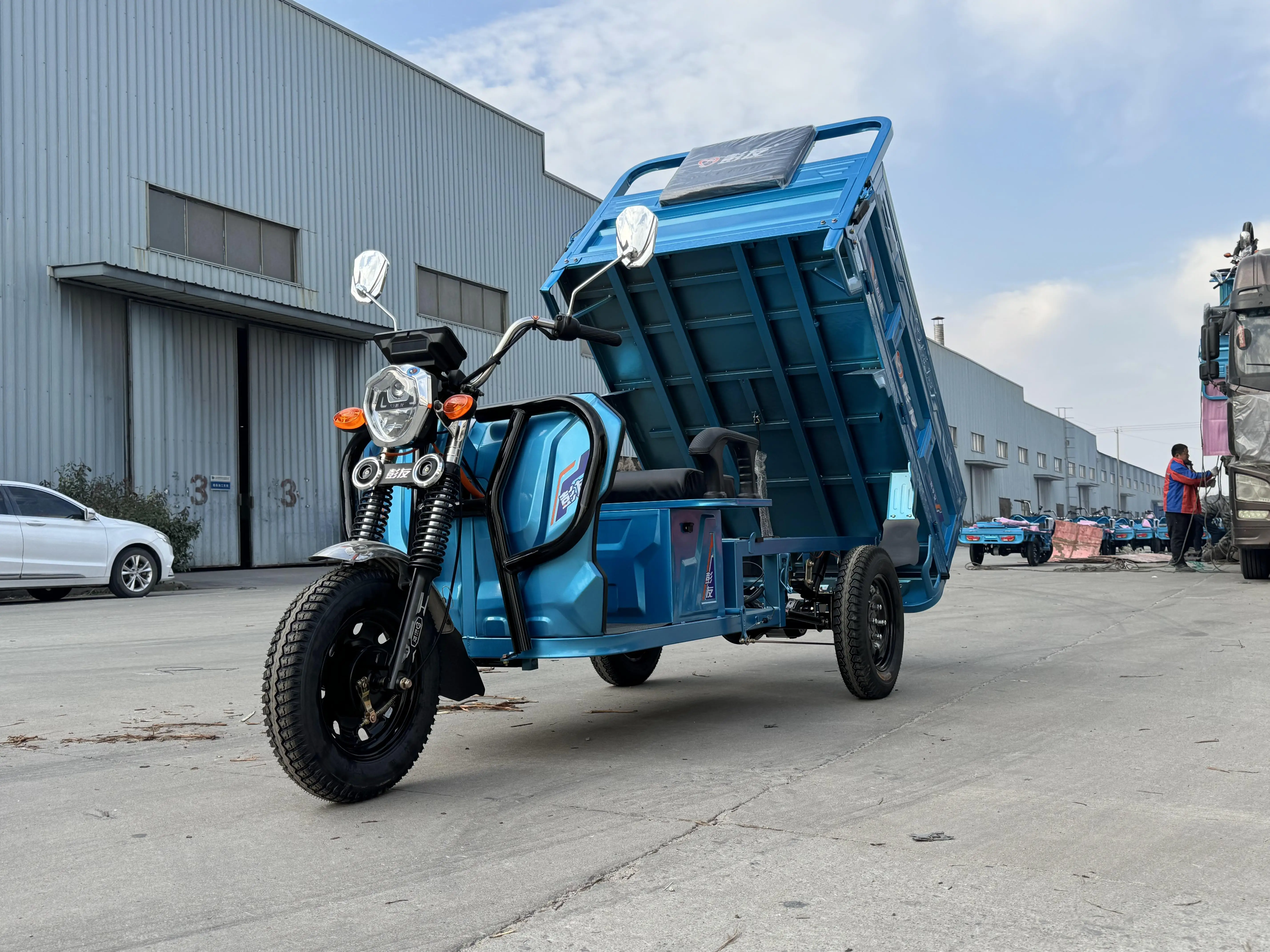 Lblb160g Cargo Delivery 3 Wheel Electric Tricycles Electric Three Wheeler Cargo 1000w Eec