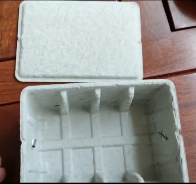 Paper Packaging Box Custom Paper Pulp Box Molded Pulp Degradable Packaging Gift Box