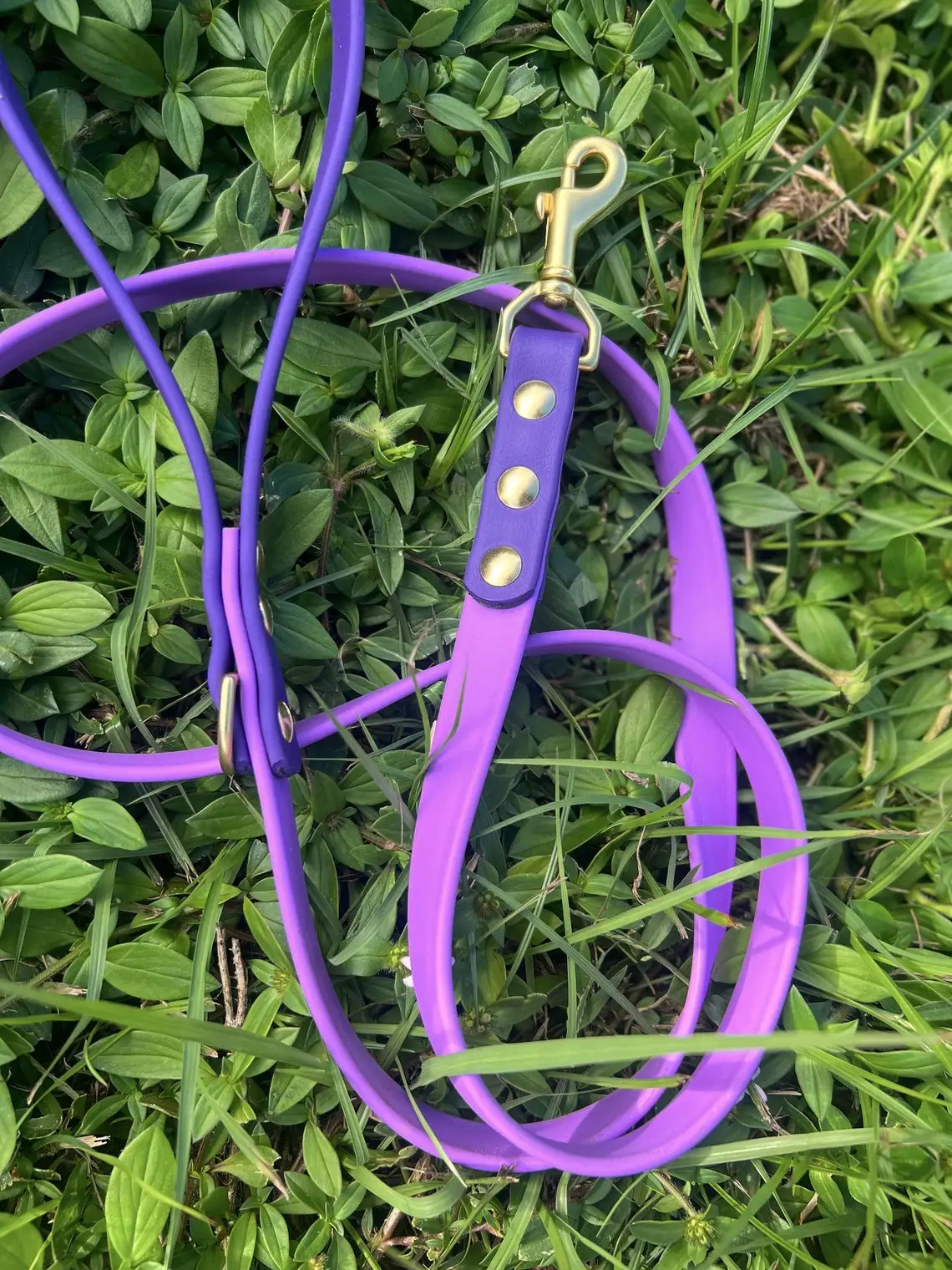 Luxury Rubber Silicone Coated bing Dog Long Lead Grade Custom