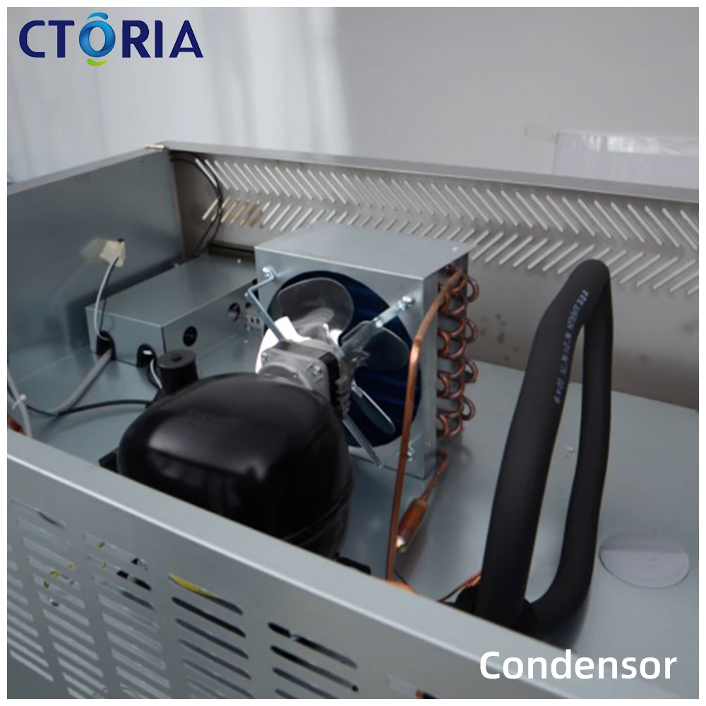 Automatic CTORIA -18~-5 Single-Temperature Commercial Upright Freezer Foaming Door Refrigerator