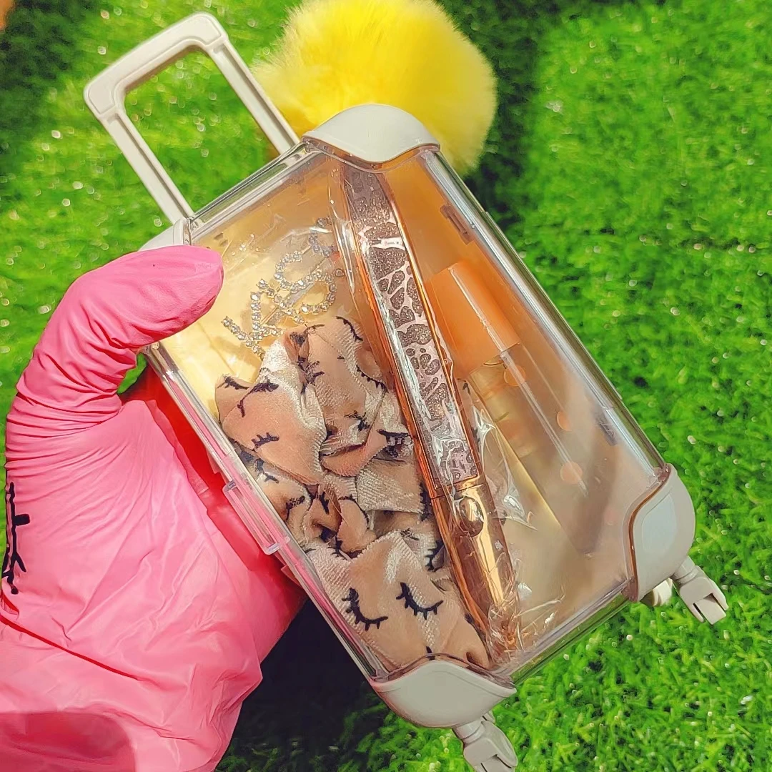 Wholesale Mini Suitcase Hair Band Lip Gloss Balm Set Moisturizing Lip Gloss Private Label with Package