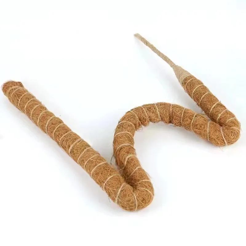 Coco Coir Moss Sticks Plant Support Peat Cocopit Growers