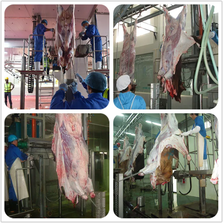 Specially designed halal cattle slaughtering production line with bone removal cutting machine for cattle slaughtering slaughterhouse