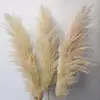 F6