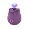 Purple 1