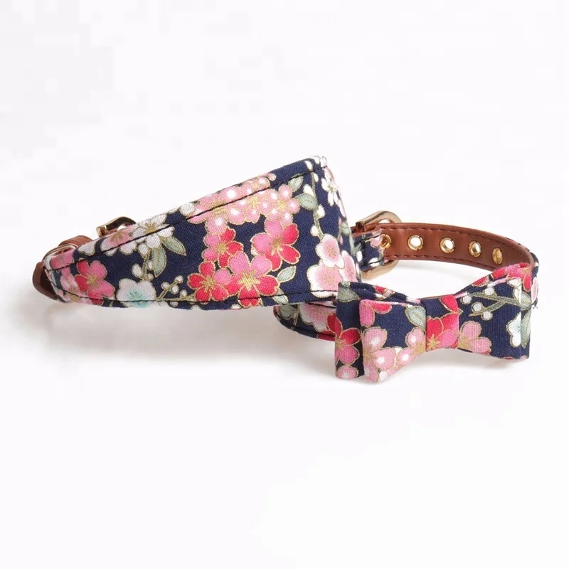 Бесплатный образец Регулируемый ошейник моды ошейник и поводок