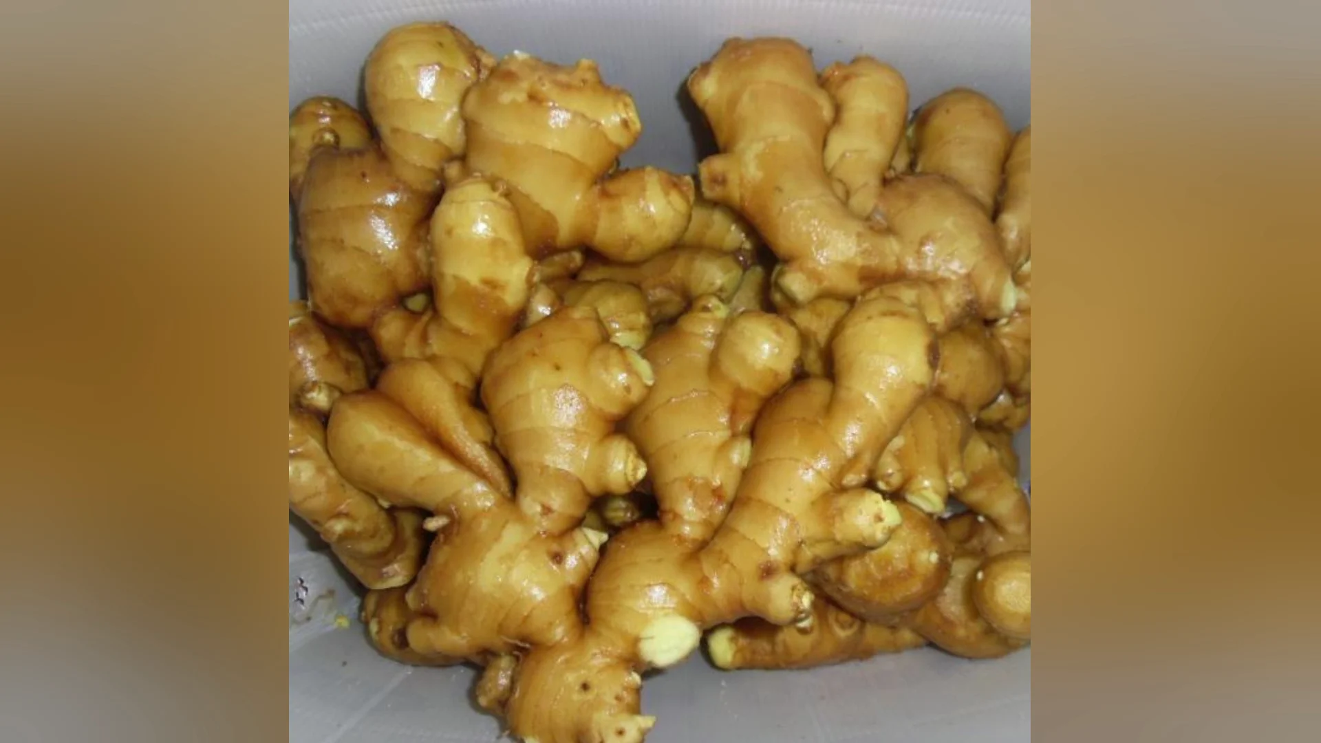 Fresh Ginger Export High Quality Fresh Elephant Ginger From Fresh