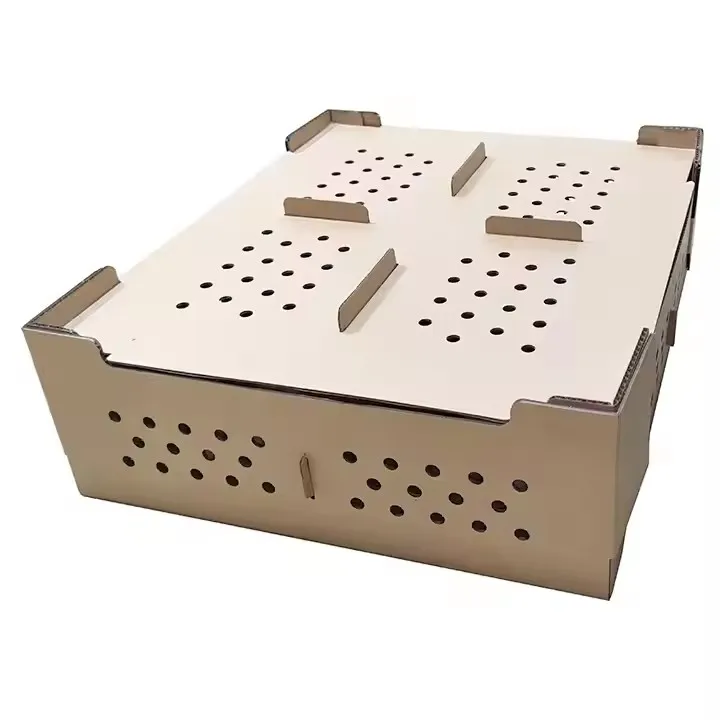 Custom Sturdy Cardboard Shipping Poultry Carton Packing Box 25 50 100pcs Live Baby Chick Birds Box