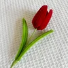 #7 red tulip