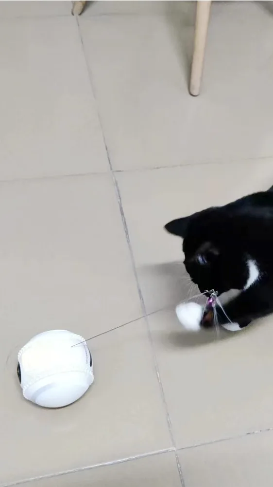 Rolling Ball Toys For Cats Ball Smart Interactive Pet Toy Cat Movement