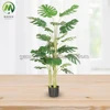 monsteria-3 tronchi- 150 cm