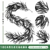 1.8-meter black Norfolk pine - 36 heads