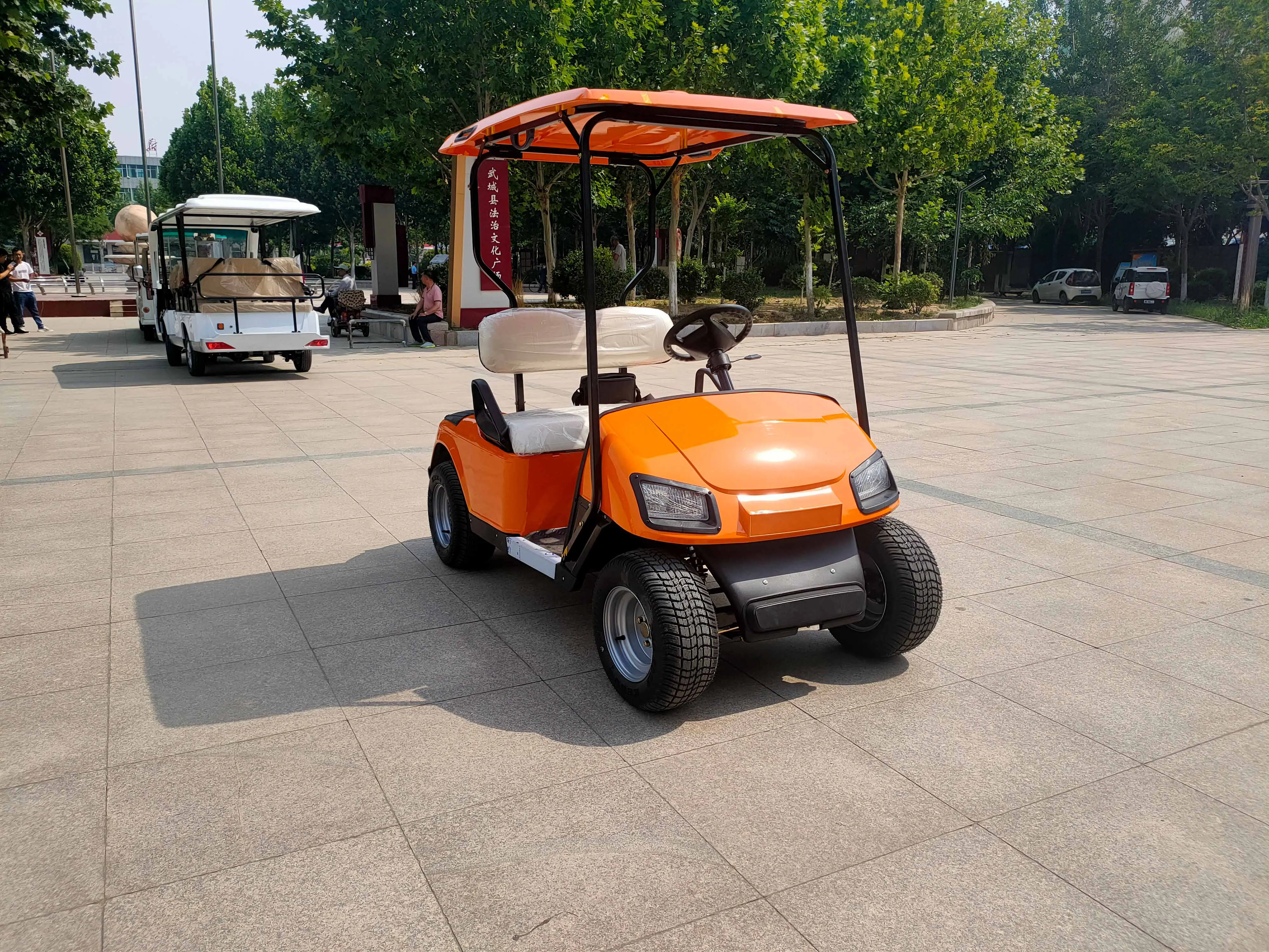 2 Seats Mini Electric Golf Carts 60v Battery Operated Electric Golf