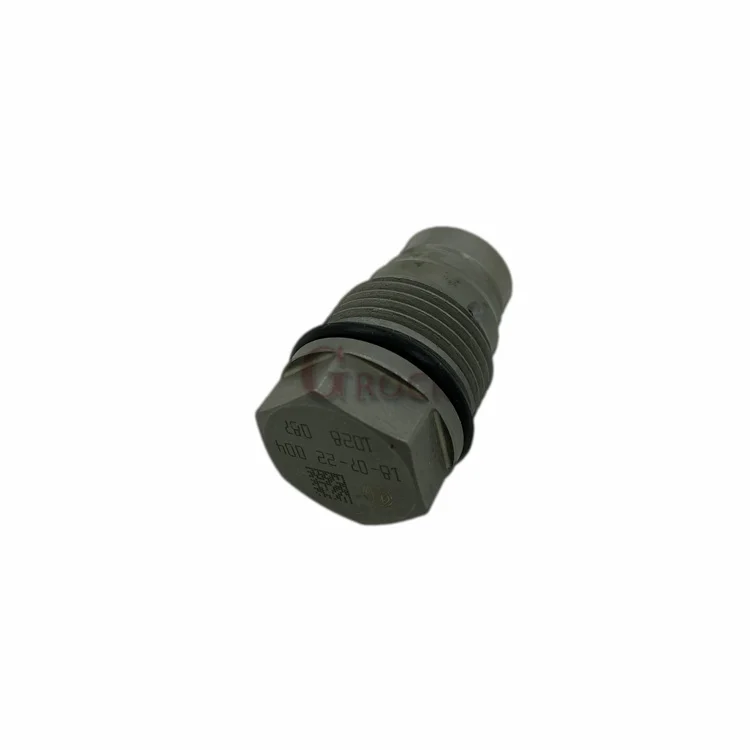Common Rail Pressure Limiting Valve 1 110 010 028