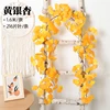 One branched yellow ginkgo vine