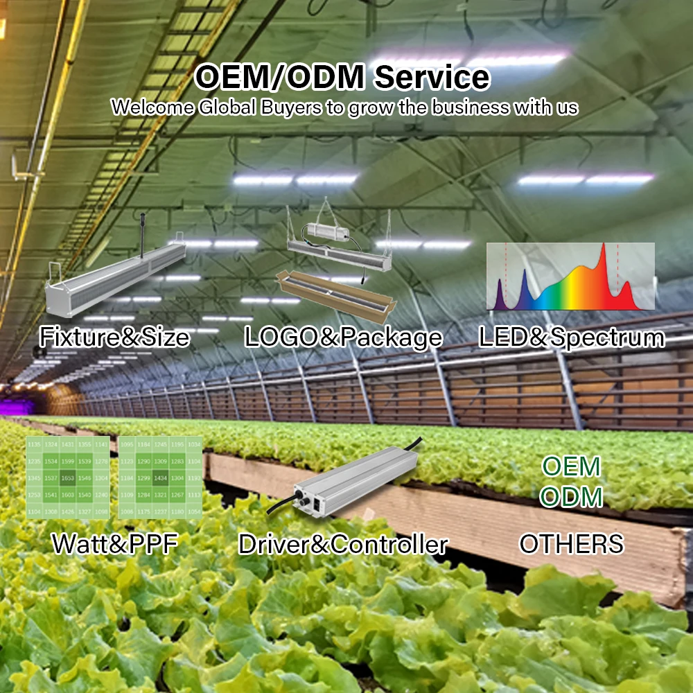 Mester Гидропоника коммерческие комнатные высокие Ppfd Diy бар УФ ИК вертикальные сельскохозяйственные лампы полного спектра для выращивания