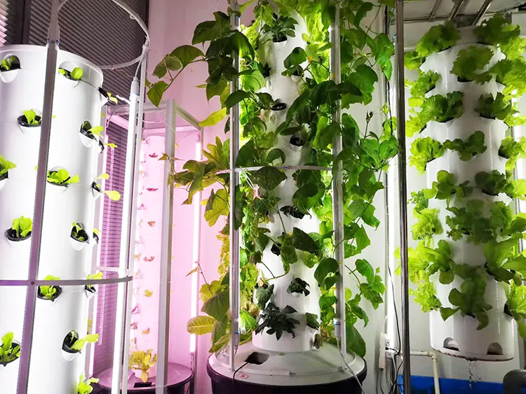 Lyine Rain Tower Vertical Hydroponic Tower System Diy Grow Garden Growing Systems