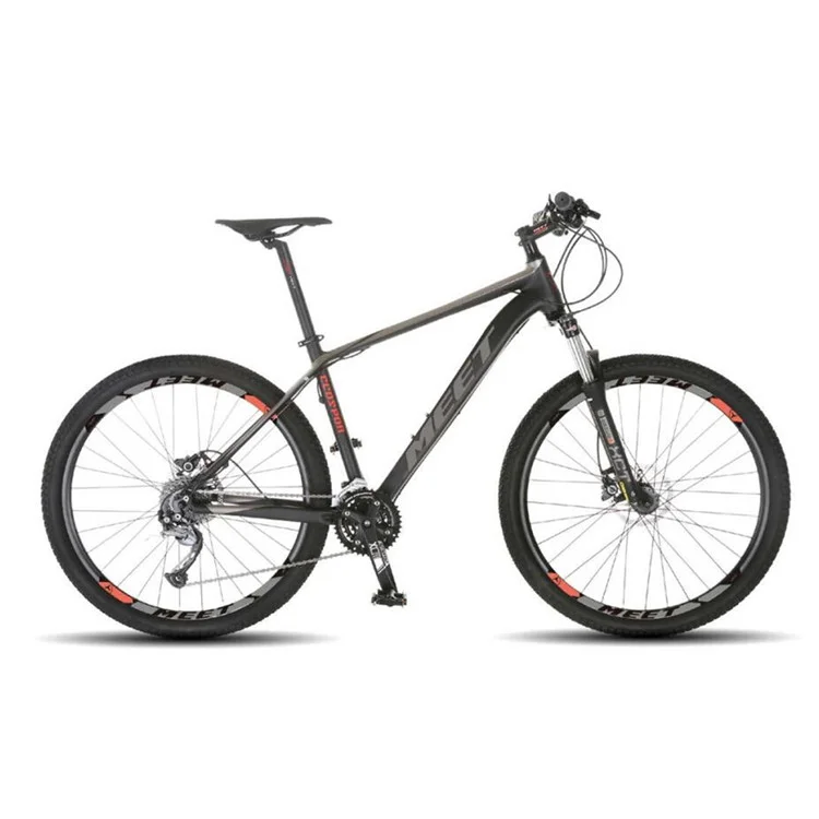 inexpensive mountain bikes for sale