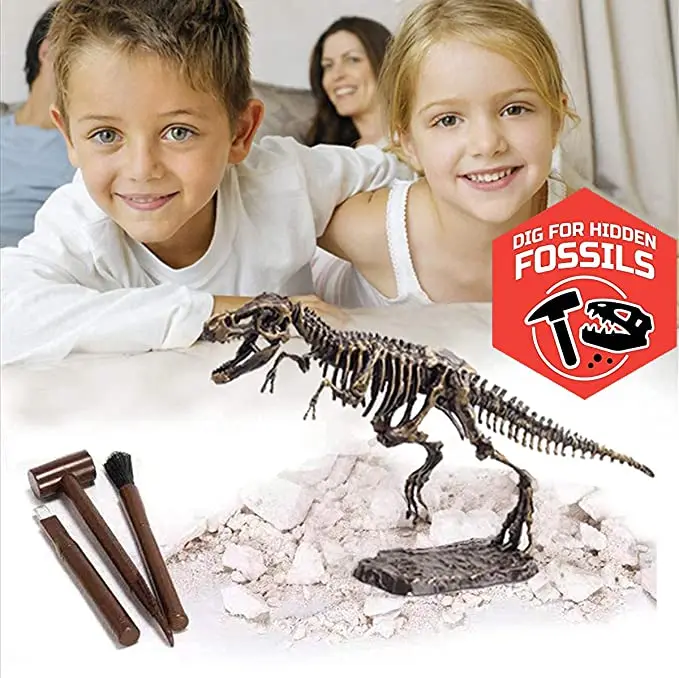 Dinosaur Skeleton 3D Dino Fossil Bones Excavation Science Kit Dig