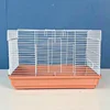 Almond Orange (Single Cage)