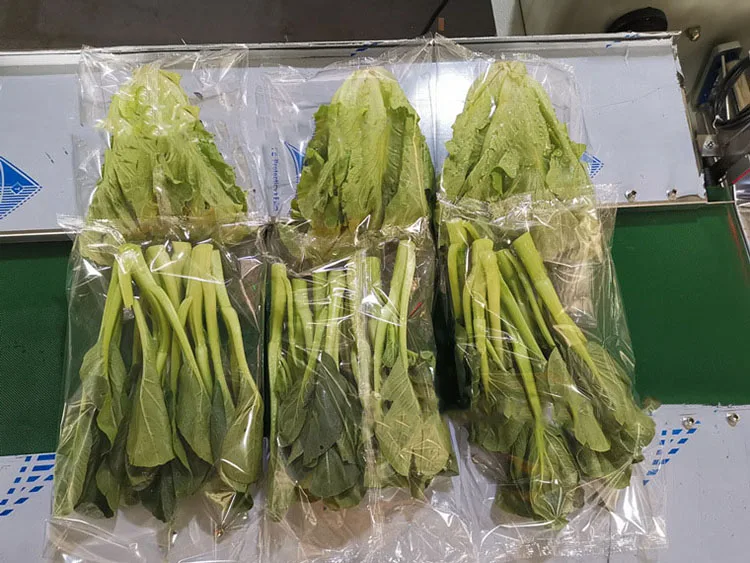 Fully Automatic Horizontal Wrapping Pack Packaging Machine Fruit and Vegetable Packing Machine