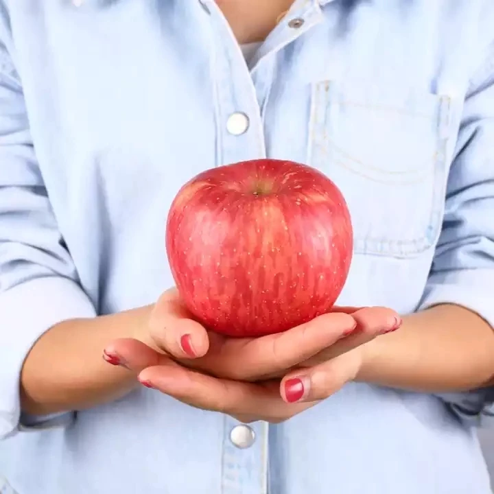 The crispy and sweet red Fuji apples are exported to various countries