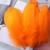 สีส้ม