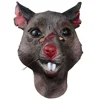 Mouse Headgear
