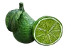 Lemon S22493