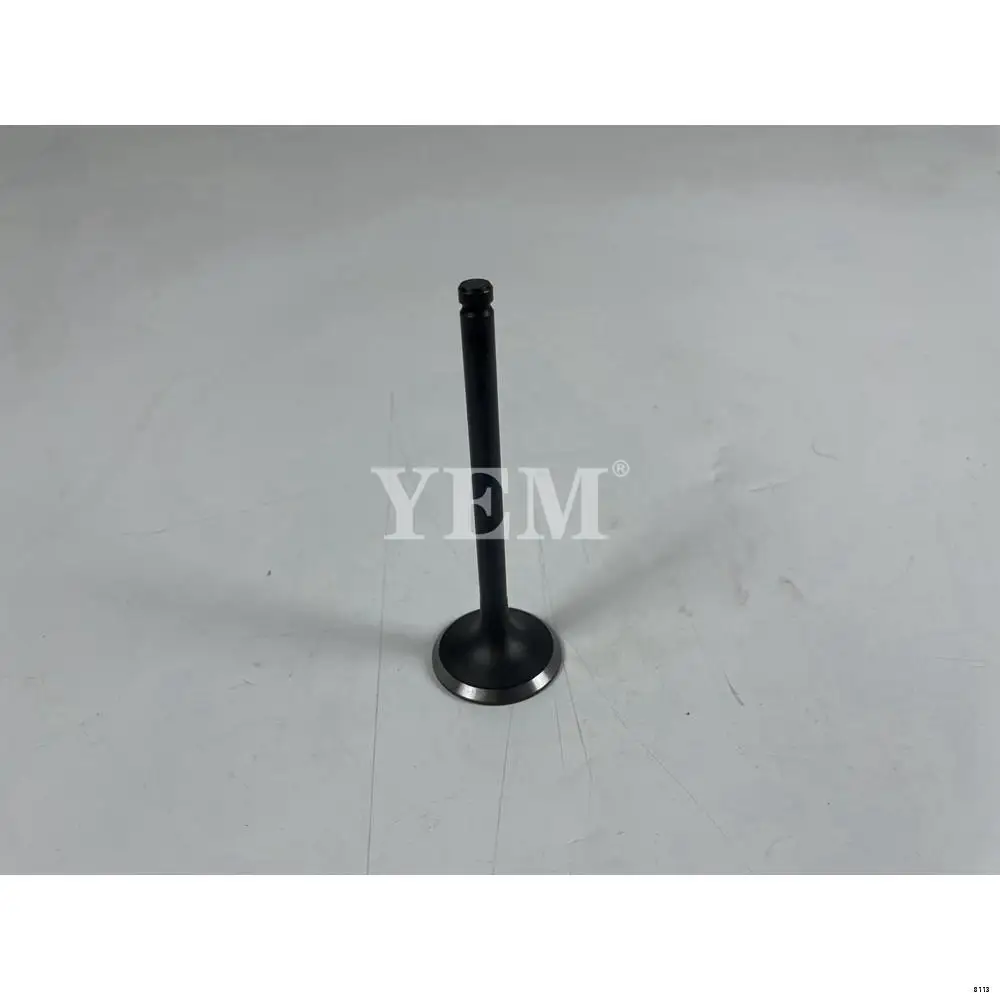 Engine Valve In For Nissan TD23