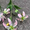 6# Pink, B10 5 flame lily pink