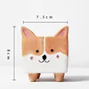 Corgi avec trou