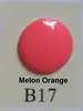 B17 melon orange