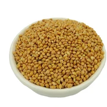 Chinese Dried Foxtail Millet Top Level Yellow Broomcorn Millet for Bird Feed Grade