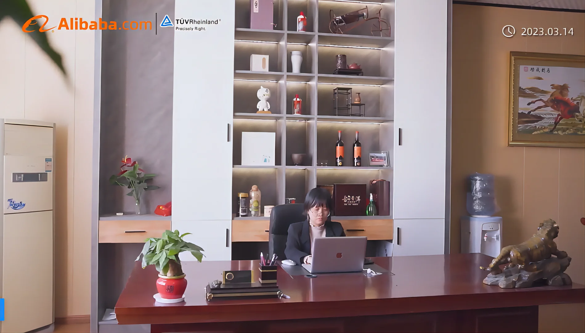 Chasun Solar Co., Ltd. 2