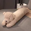 Orso kaki