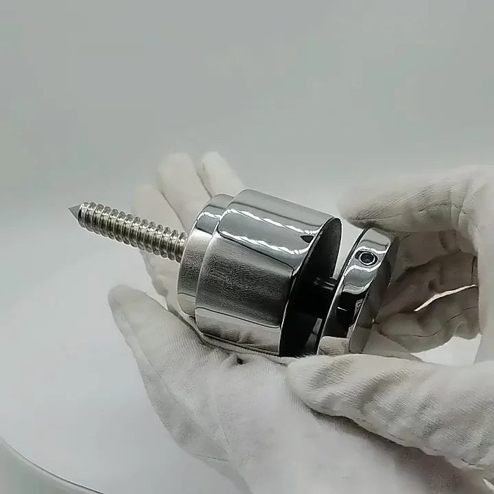 Adjustable Stainless Steel Glass Railing Black Stand Off Pins Fixings