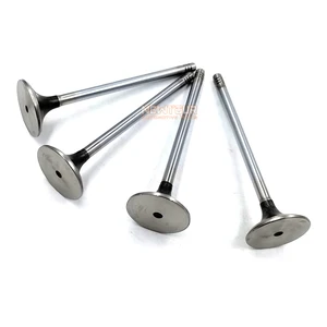 Diesel Engine Intake and Exhaust Valves Automotive Parts for Accessories Maxus T60 V80