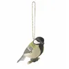 Great Tit EW090361