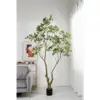 Cloche de rhododendron 240 cm - Blanc
