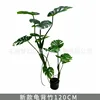 Monstera deliciosa de la selva tropical, 120 cm (incluye base negra).