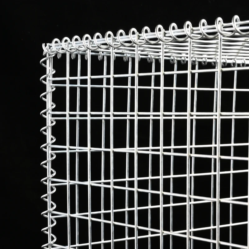 KAAPGN High Quality Gabions Box Hot Dipped Galvanized Material Gabion Mesh