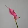 สีชมพู