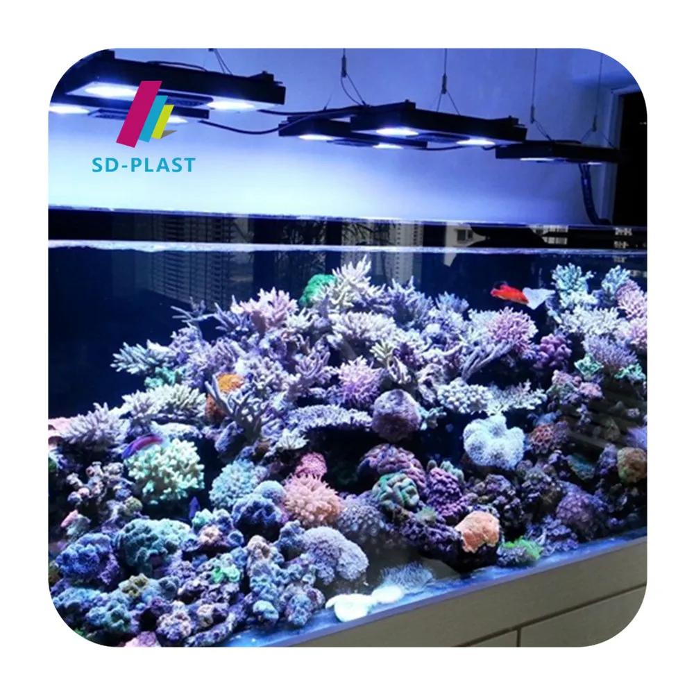 カスタマイズ可能な40Lアクリル水槽 - テレビスタンド用の透明なタンク