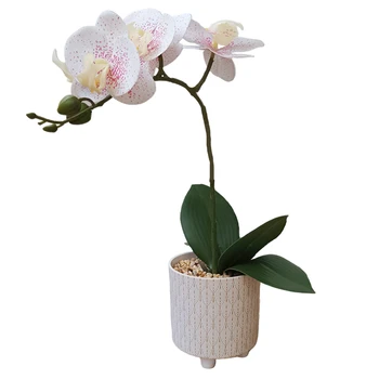 Wholesale high real touch orchid flowers plant with Melamine pot