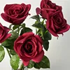 Hand-feel single corolla rose-red